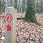 Waymarking at Ambarrow Court & Hill