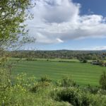 Photograph of the view out across neighbouring farmland