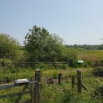 Photo taken in summer, with lush green vegetation. The meadow in the distance is filled with yellow buttercups.