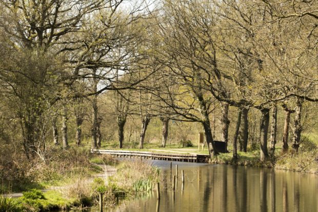 Brookwood Country Park