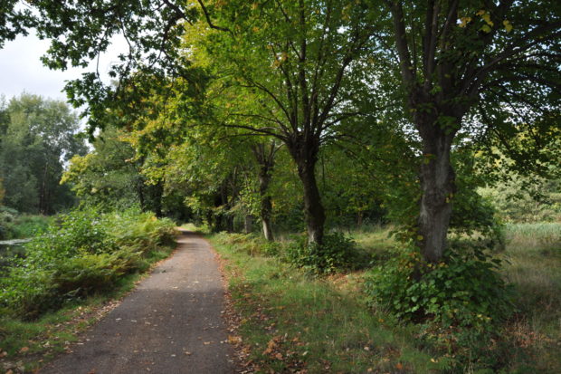 Brookwood Country Park