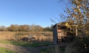 Photo of a bird hide looking out over the wetlands area