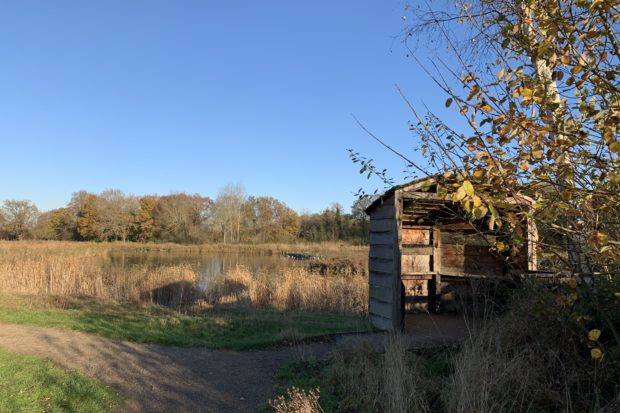 Photo of a bird hide looking out over the wetlands area
