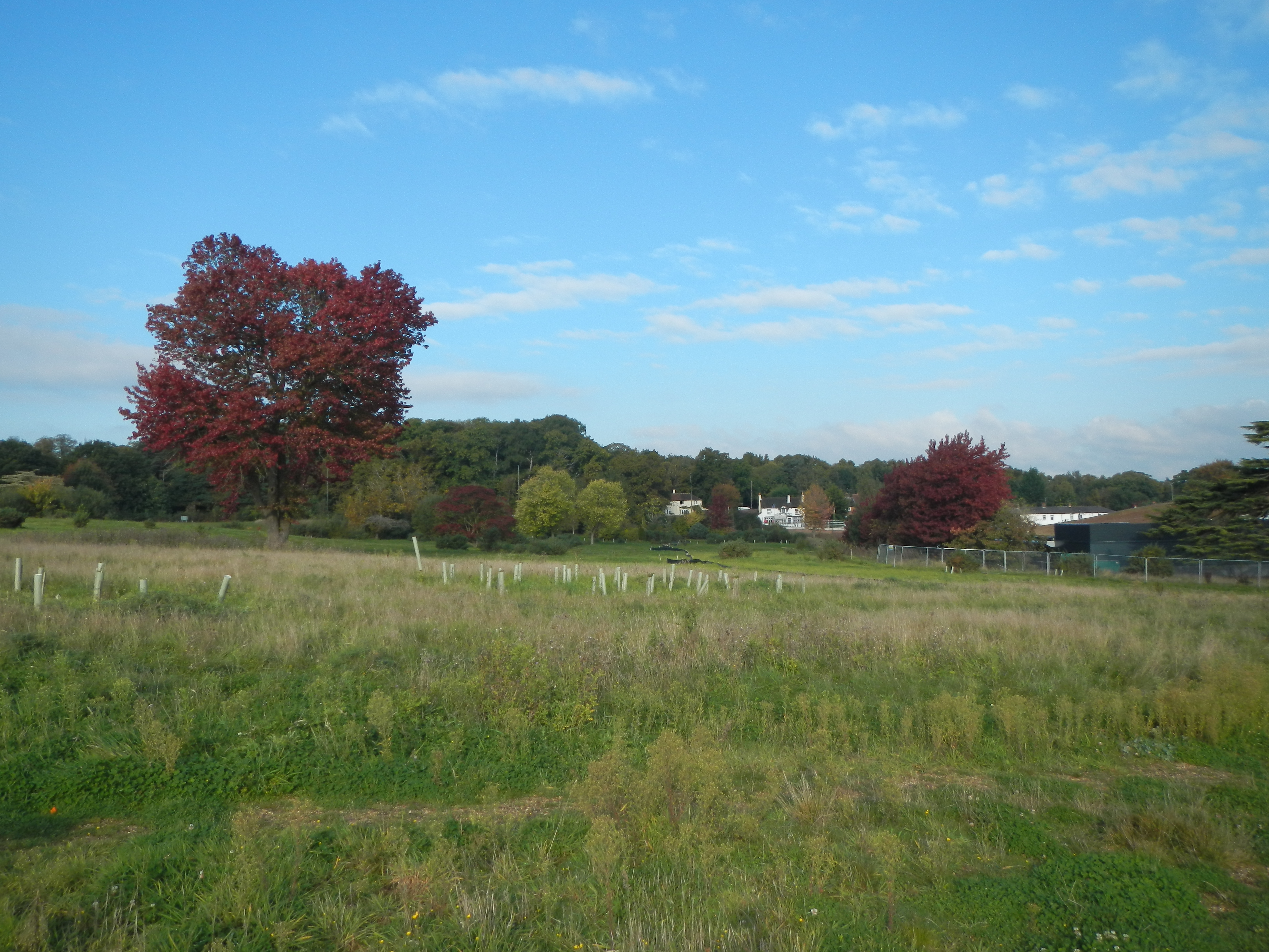 Earlswood Park Thames Basin Heaths