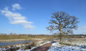 Edenbrook Country Park