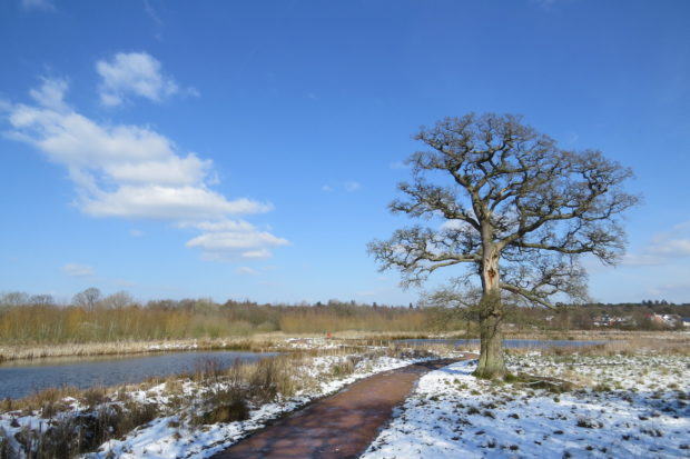 Edenbrook Country Park