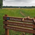 Effingham Common