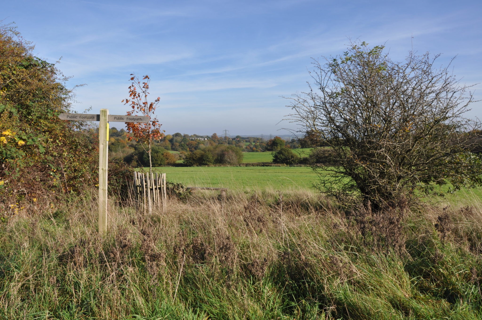 Farnham Park Thames Basin Heaths