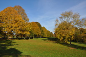 Farnham Park