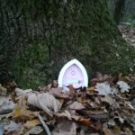 New neighbours in the woodlands by Warden Ruth