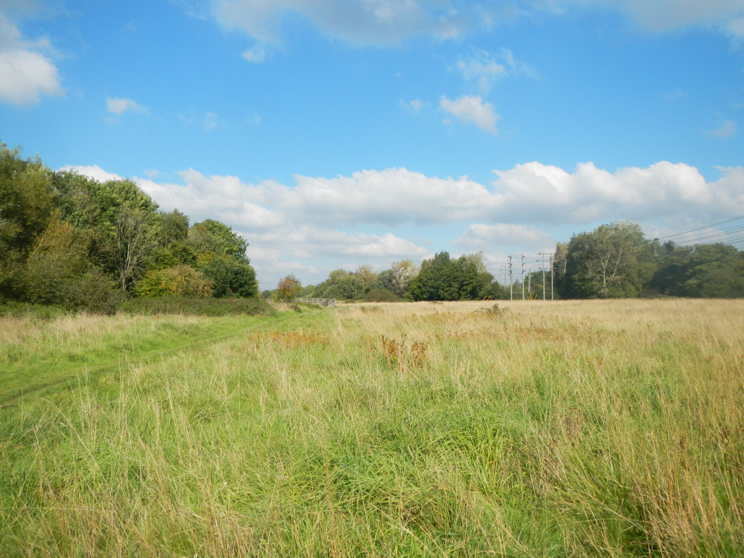 Hawley Meadows & Blackwater Park Thames Basin Heaths