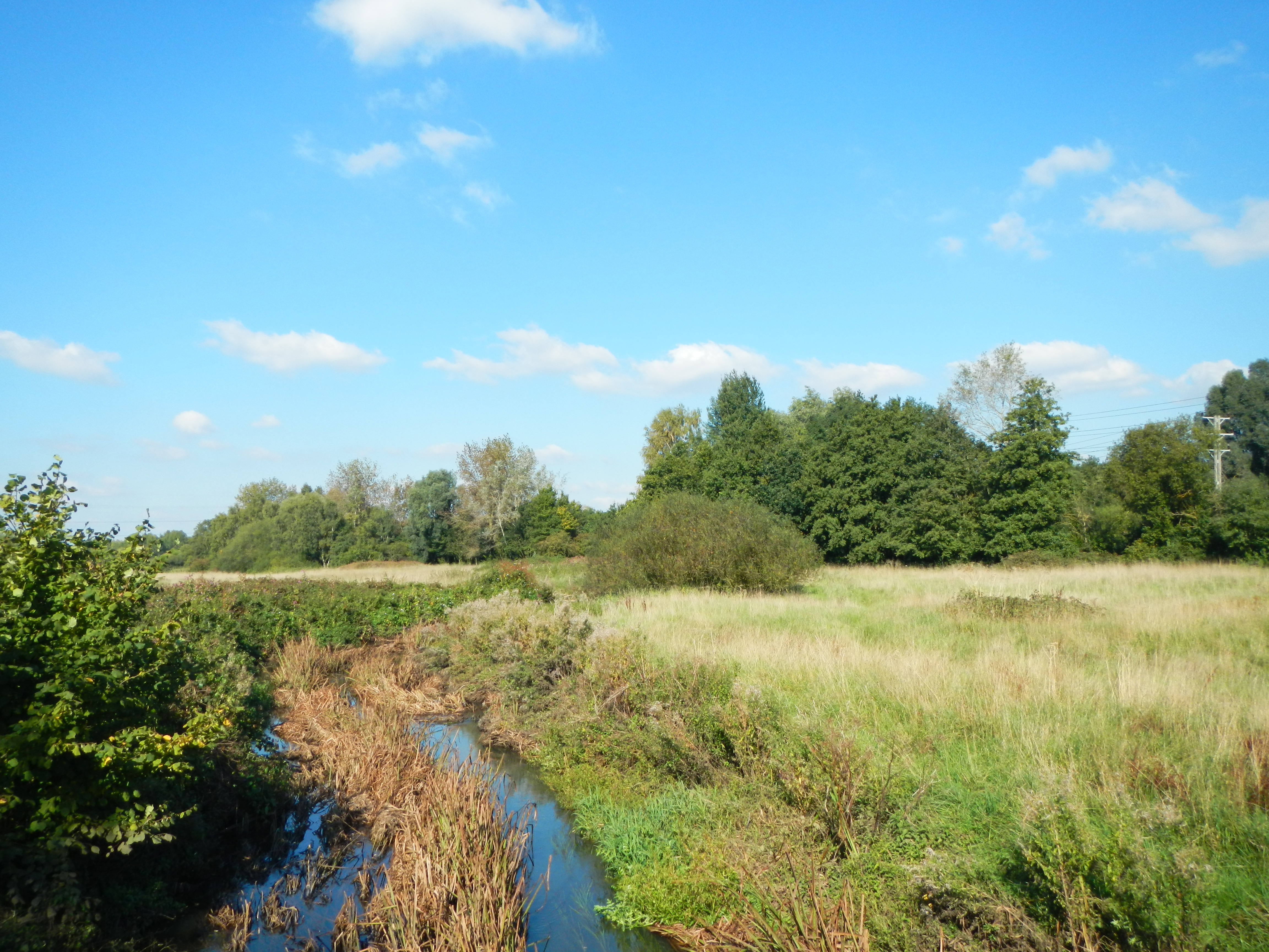 Hawley Meadows & Blackwater Park Thames Basin Heaths