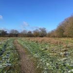 Buckhurst Meadow