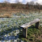 Photo of a small bench with trees behind.