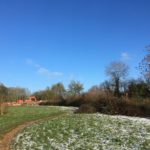 Photo of a frosted meadow, with building works in progress in the distance.