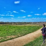 May's Farm Meadows