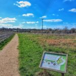 May's Farm Meadows