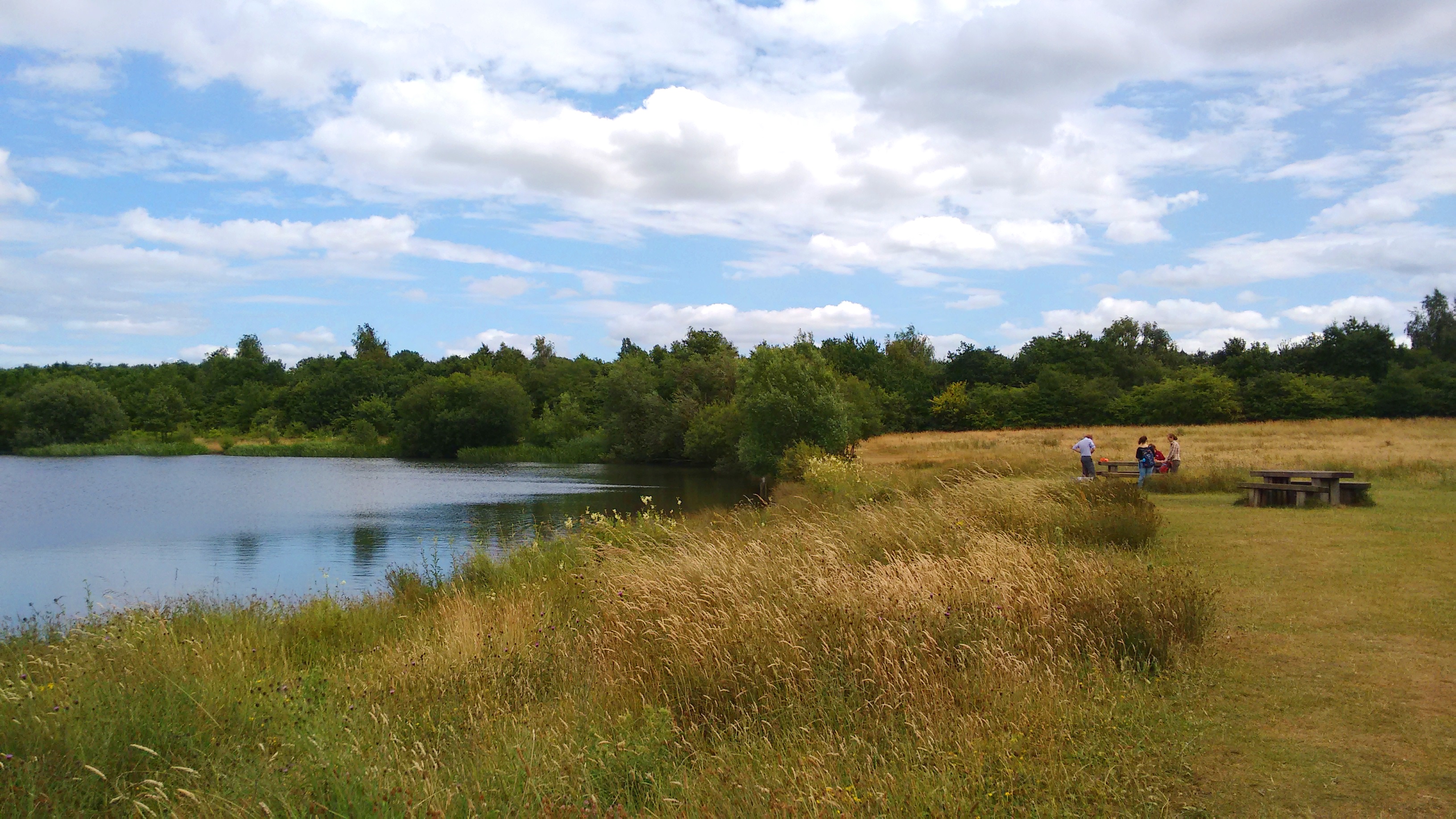 Riverside Nature Reserve - Thames Basin Heaths