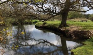 Photo of a pretty scene, with a meandering river, trees either side are just coming into leaf.