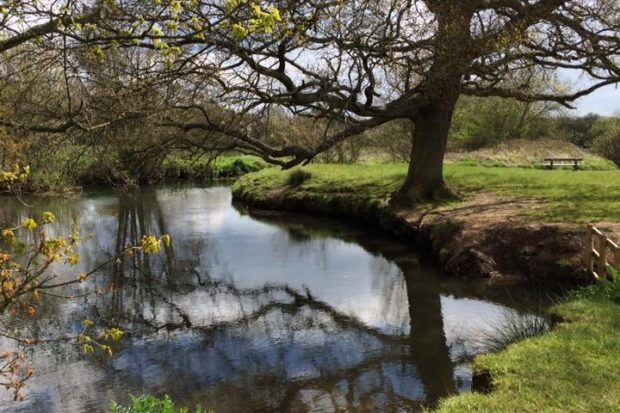 Photo of a pretty scene, with a meandering river, trees either side are just coming into leaf.