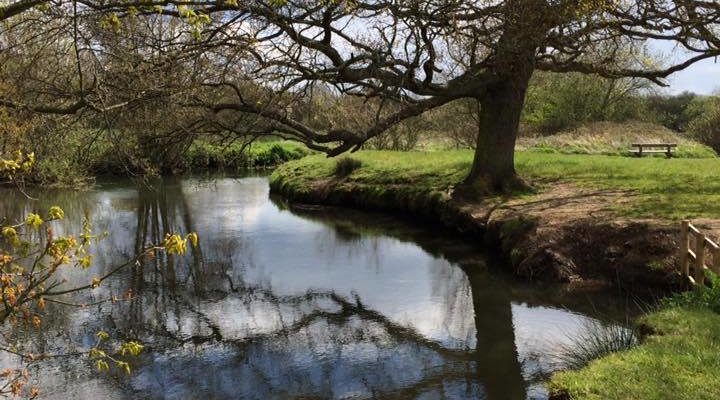 Photo of a pretty scene, with a meandering river, trees either side are just coming into leaf.