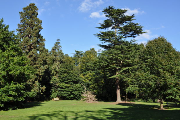 St. Ann's Hill