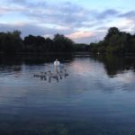 Swan Lake Park