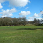 Open space at Wellesley Woodlands