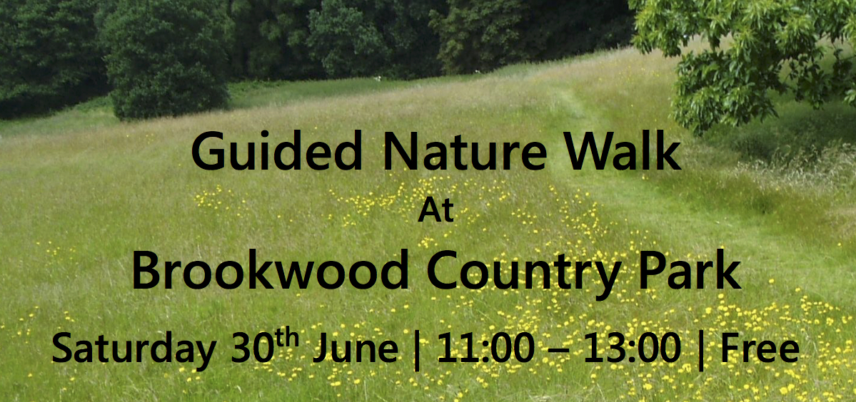 Free Guided Nature Walk