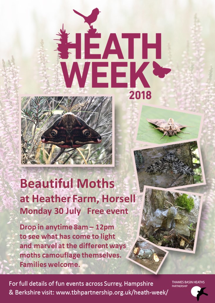 Heath Week poster for moth trapping event