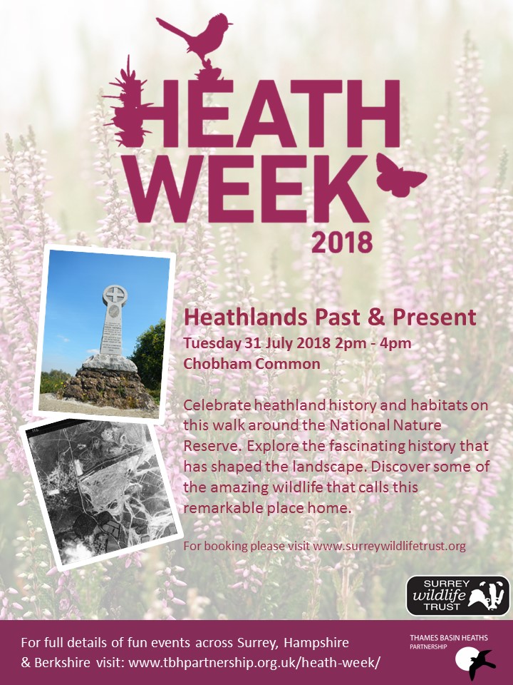 Heath Week Poster for Heathlands Past & Present Walk