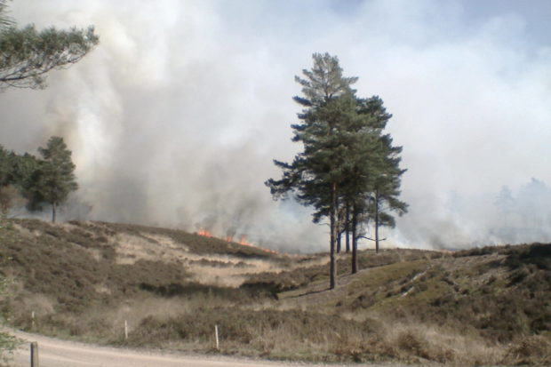 Fire at Pirbright Ranges April 2015. Warden Mike Taylor.