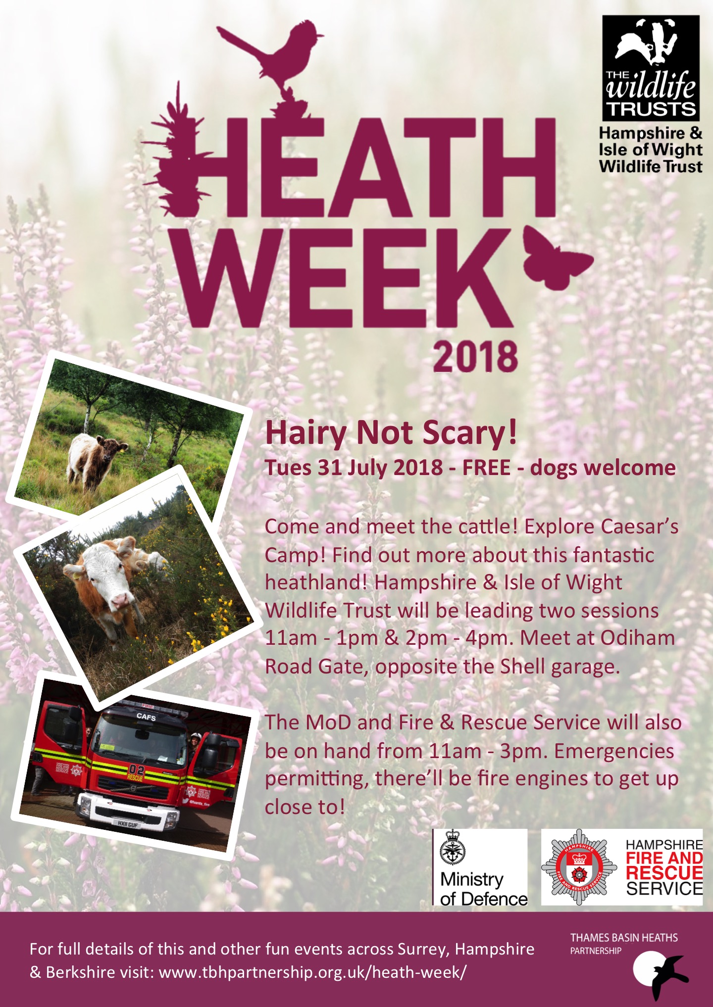 Heath Week poster for Hairy not Scary event at Caesar's Camp