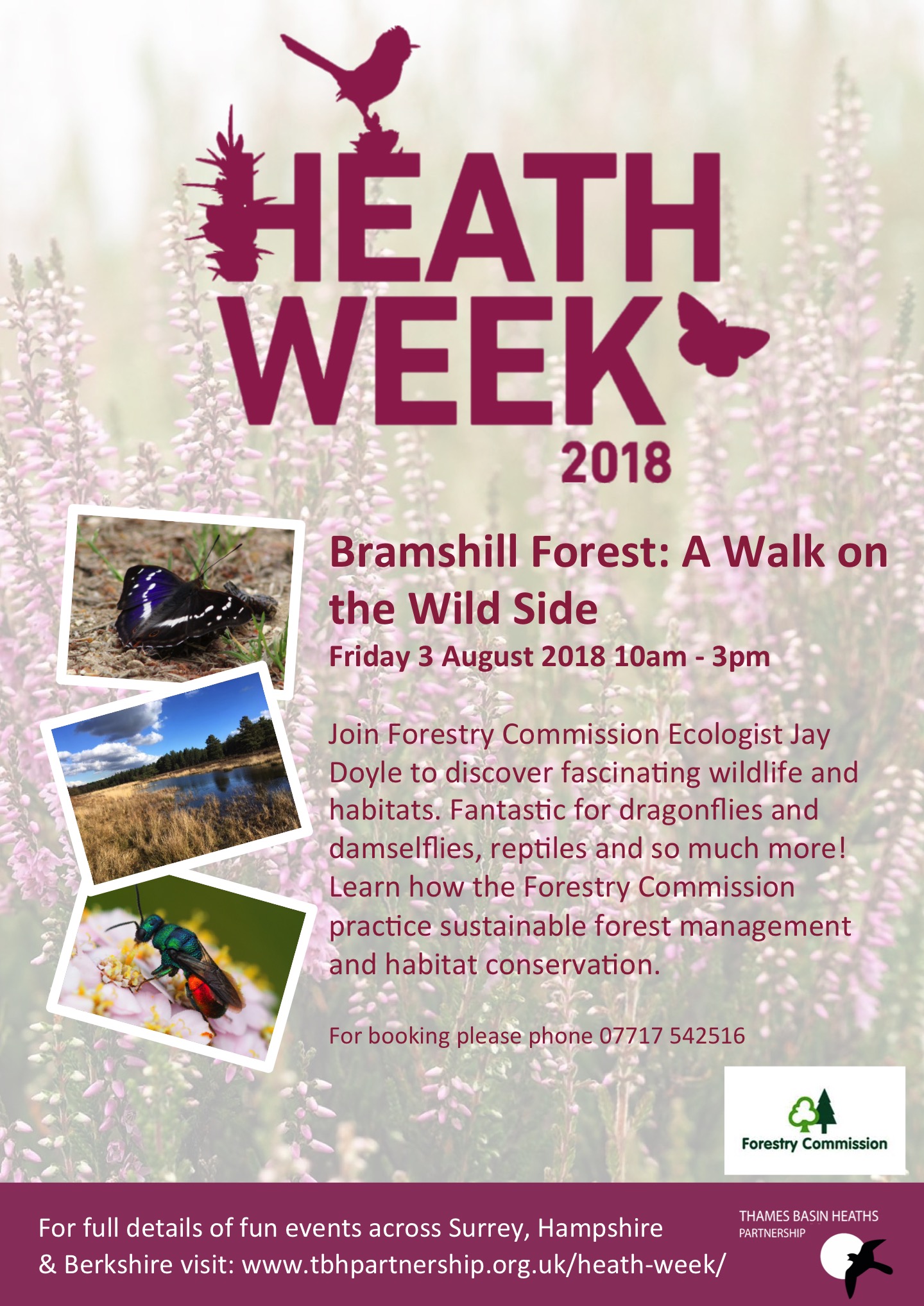 Heath Week poster for Bramshill walk