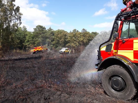 Woking Fire Station fighting a wildlife at SheetsHeath 20-06-2018