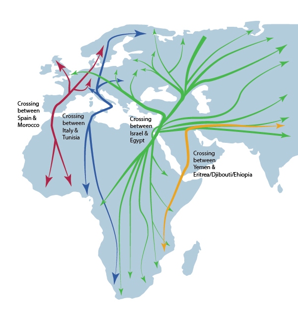 A simple map of migration routes