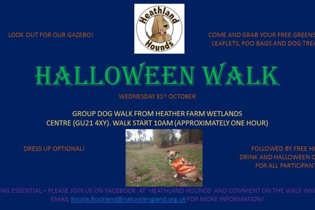 Heathland Hounds Walk Poster