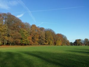 Wellesley Woodlands