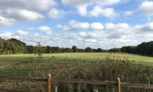 Chertsey Common, Longcross