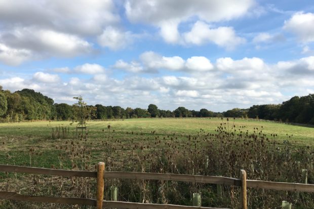 Chertsey Common, Longcross