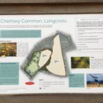 Chertsey Common
