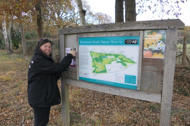 Warden Trudi putting up her poster about fungi