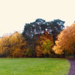 Great Hollands Recreation Ground autumn 2018 contributed by Warden Mike