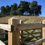 View through a wooden gate and up to one of the wooden knolls