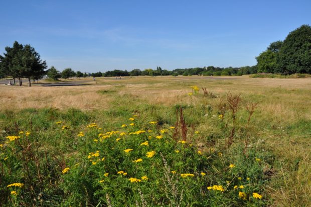 Brooklands Community Park