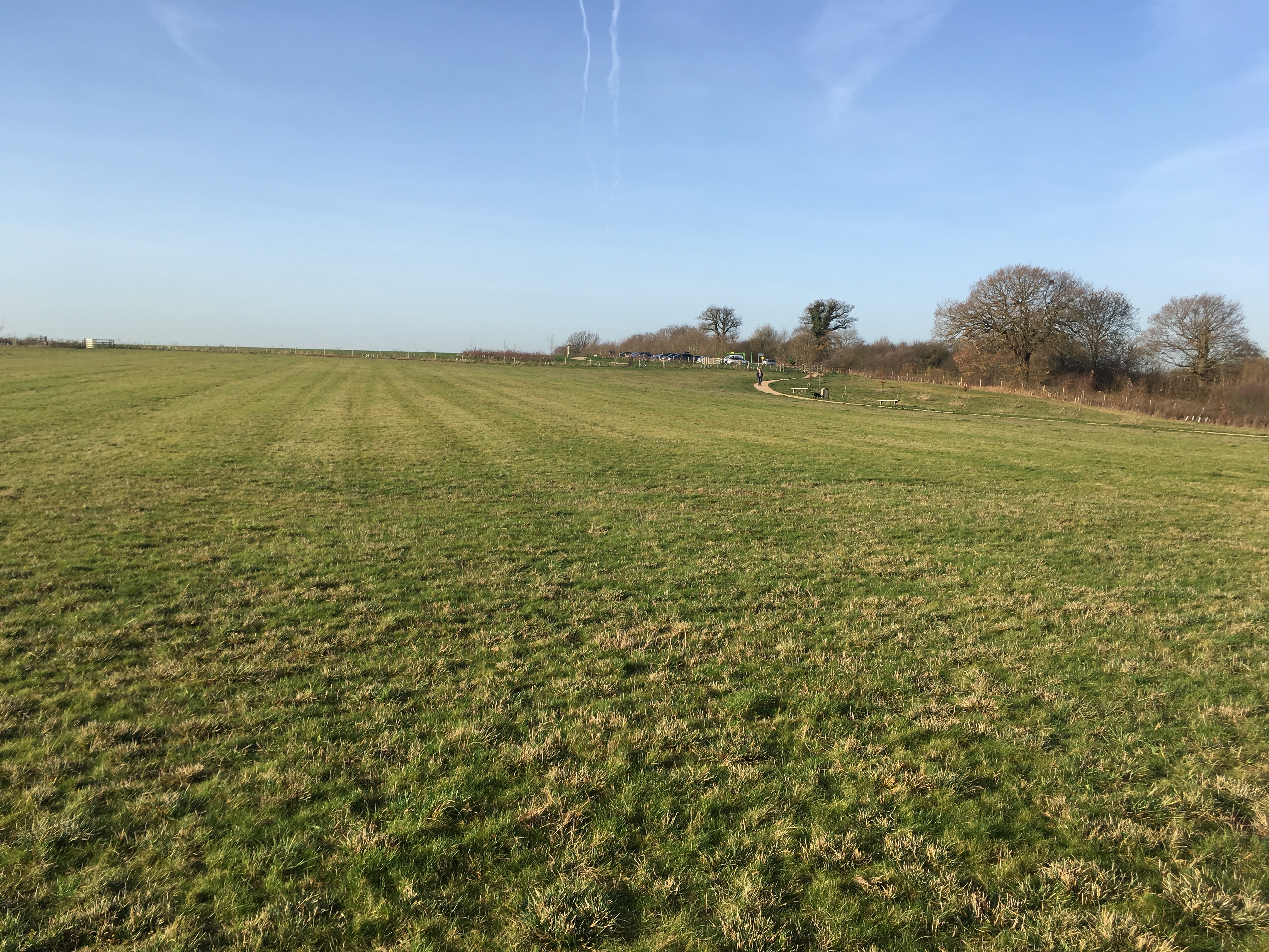 Cabbage Hill Thames Basin Heaths