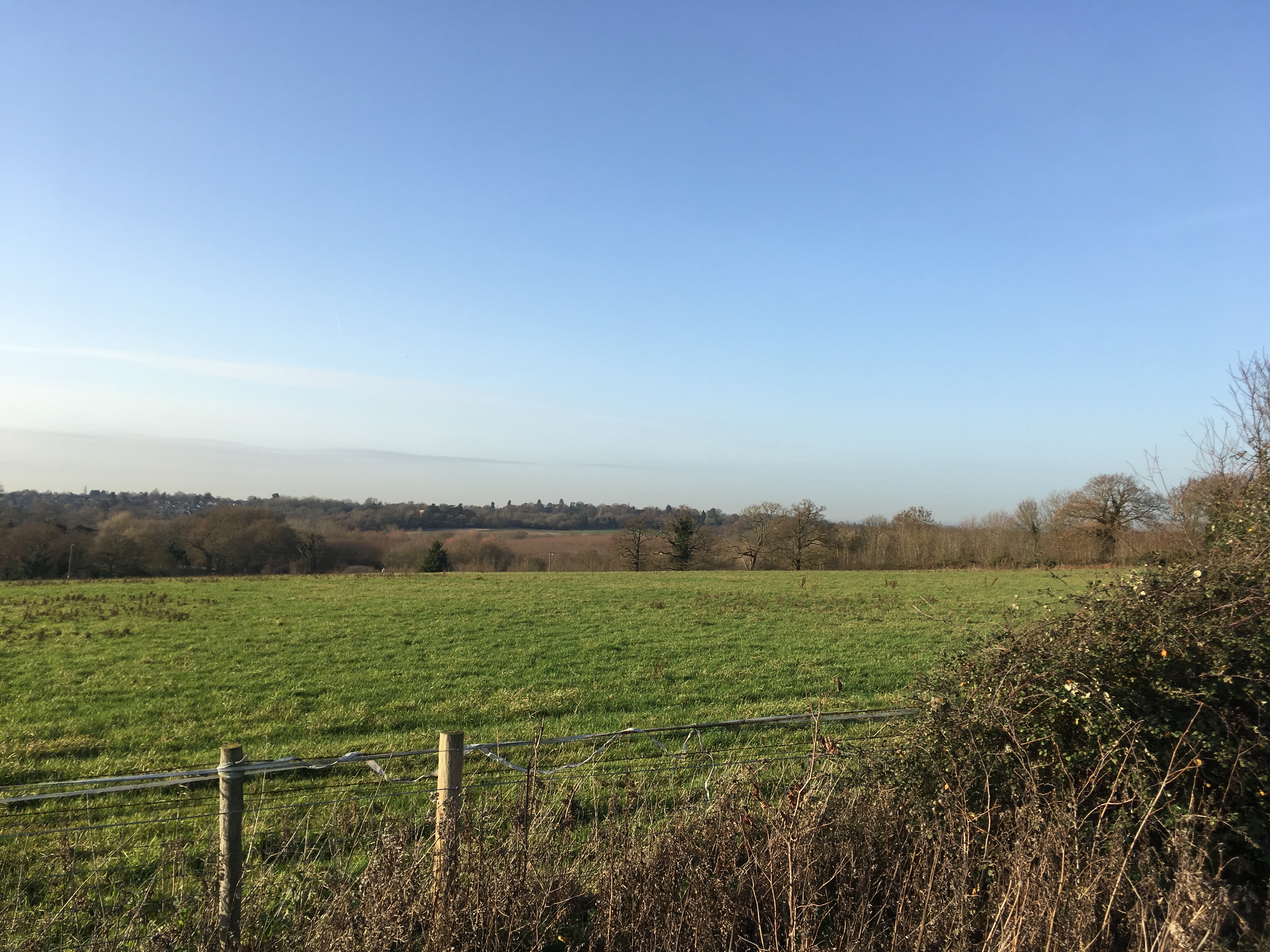 Cabbage Hill Thames Basin Heaths