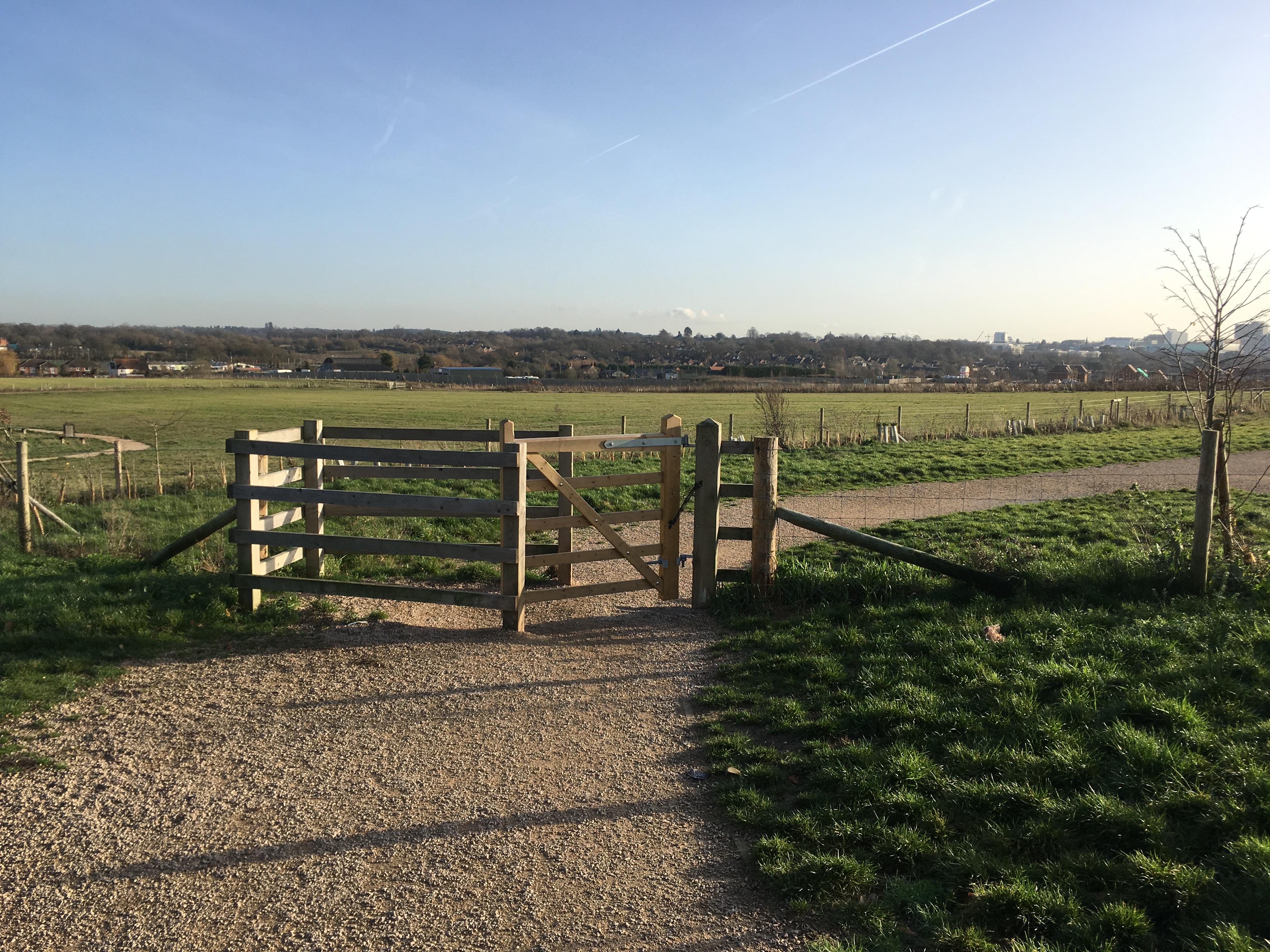 Cabbage Hill Thames Basin Heaths