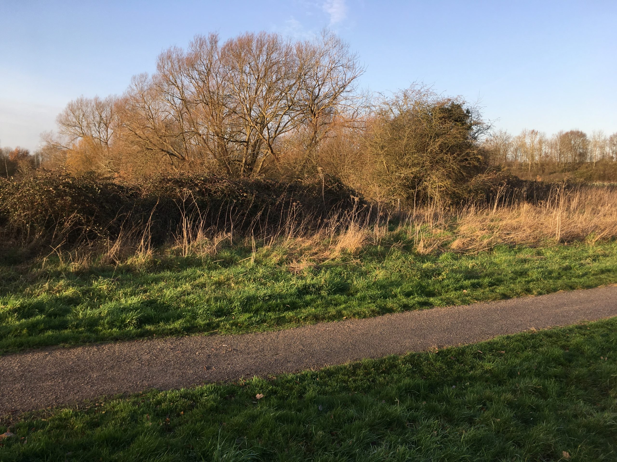 Old Forest Road Meadows Thames Basin Heaths