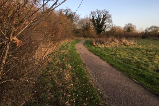 Old Forest Meadows